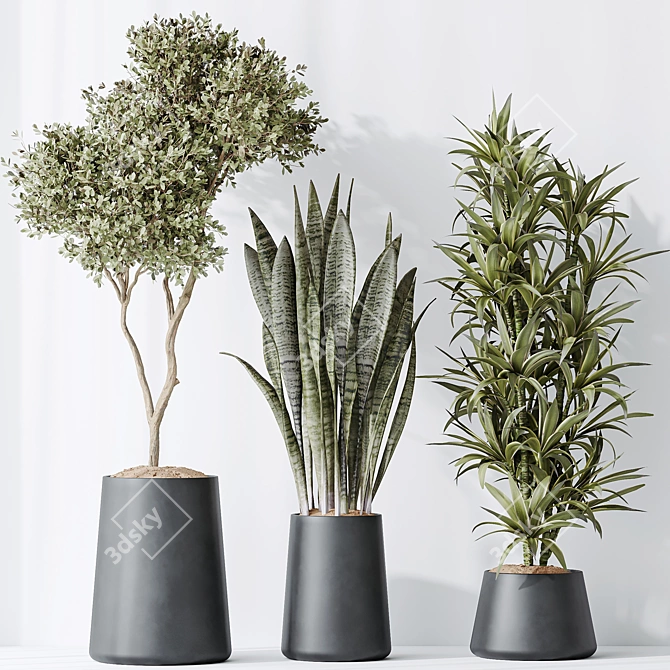 Urban Jungle Plant Set: 5 Varieties 3D model image 3