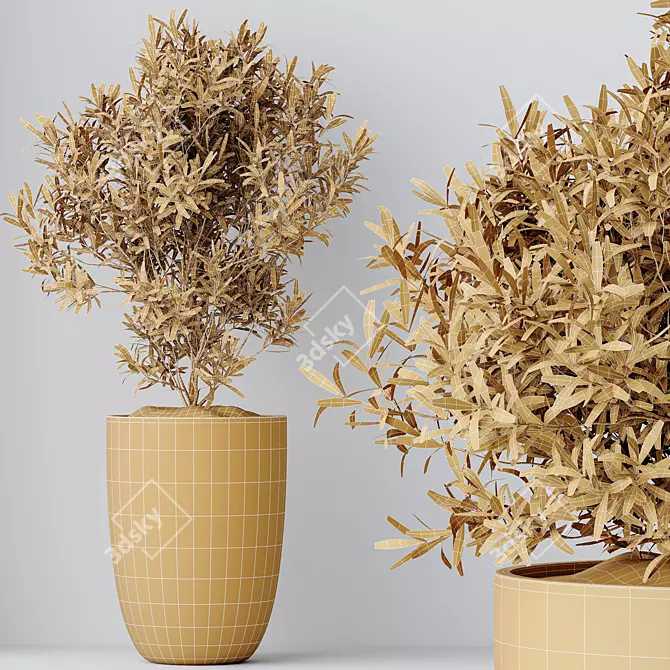 Elegant Olive Trees Set 3 3D model image 5