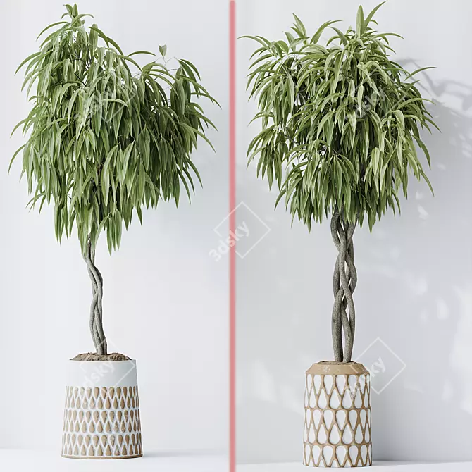 Tropical Indoor Plants Set Bundle 3D model image 4