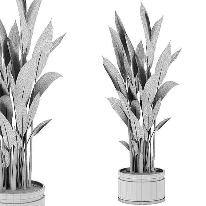  Botanic Bliss Set 86 3D model image 3