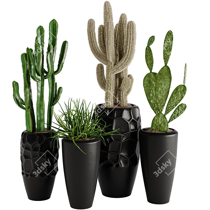 Cacti Collection Set01 3D model image 1