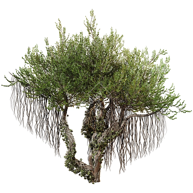 Jungle Tree & Ivy Parts 3D model image 1