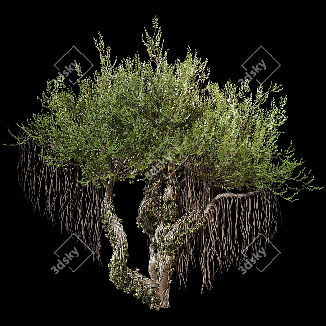 Jungle Tree & Ivy Parts 3D model image 4