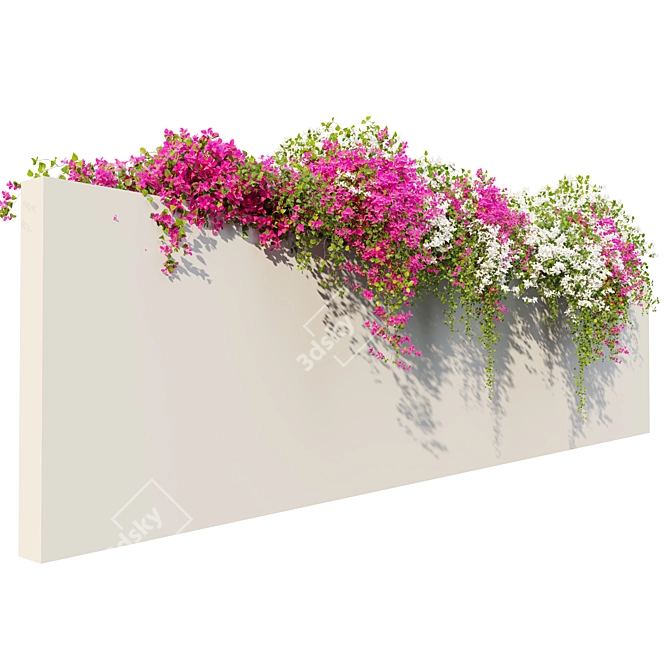 Dual-Colored Bougainvillea Vines 4m 3D model image 2