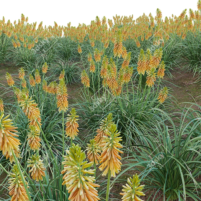3D Plant Models Collection: Vray Compatibility 3D model image 2