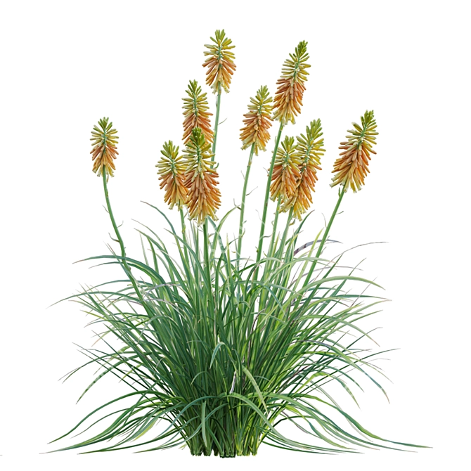 3D Plant Models Collection: Vray Compatibility 3D model image 5