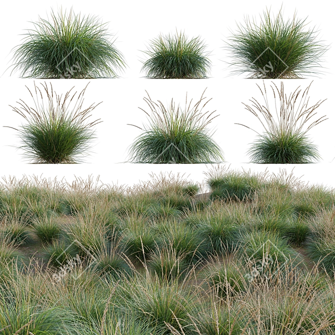 Diverse 3D Plant Models Collection 3D model image 1