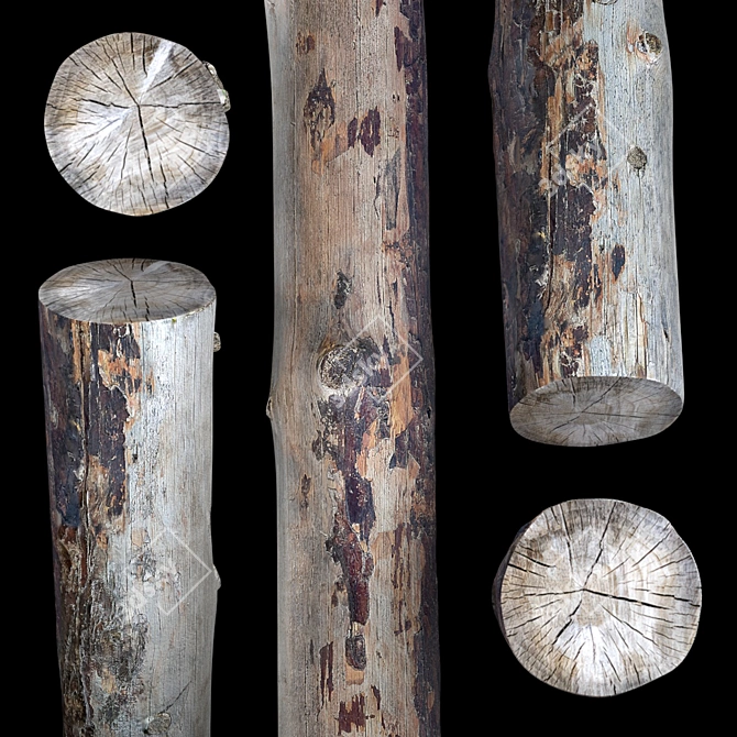 Natural Log, 1 Piece 3D model image 2