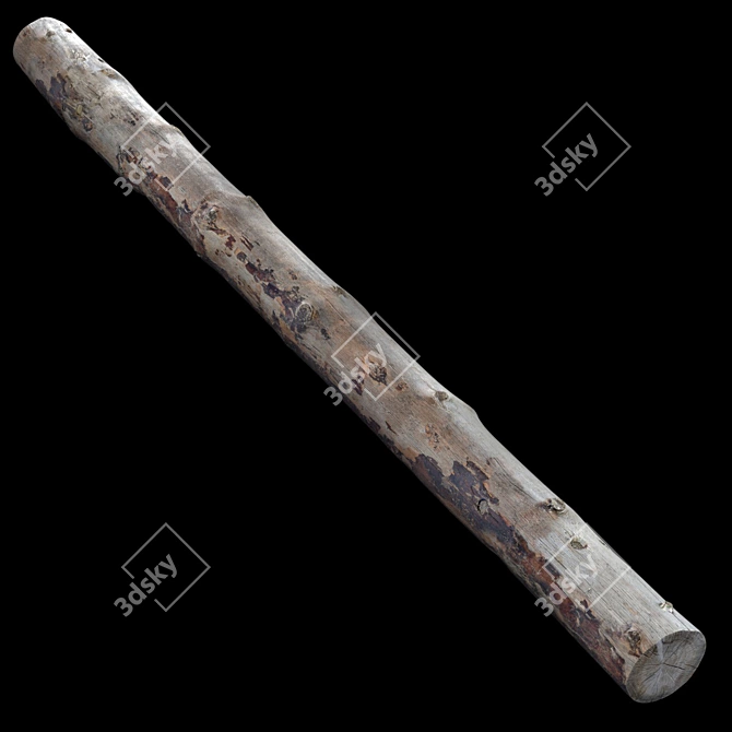 Natural Log, 1 Piece 3D model image 5