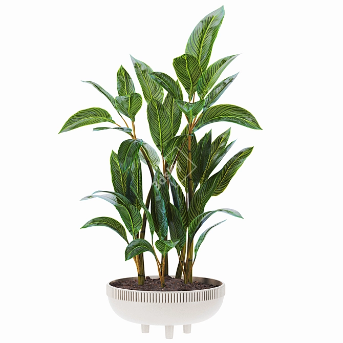 3D Plant Collection Set 90 3D model image 2