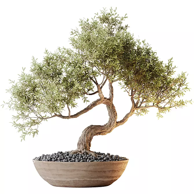 Versatile Olive Tree Set 3D model image 1