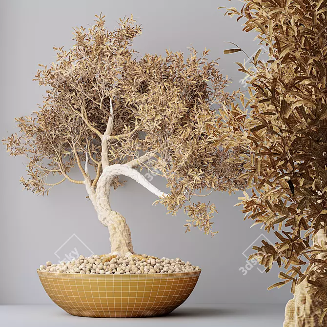 Versatile Olive Tree Set 3D model image 4