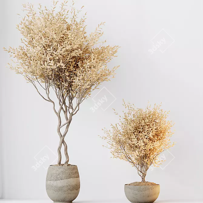 Artisanal Olive Tree Set 3D model image 2