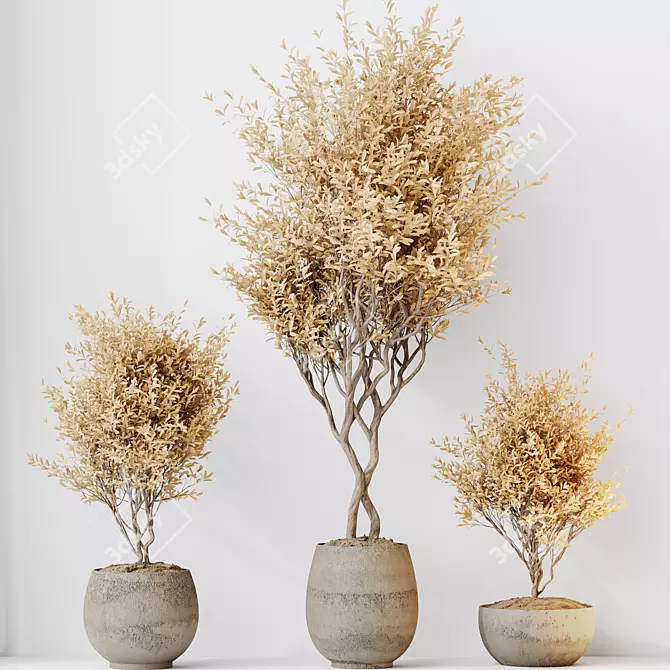 Artisanal Olive Tree Set 3D model image 3