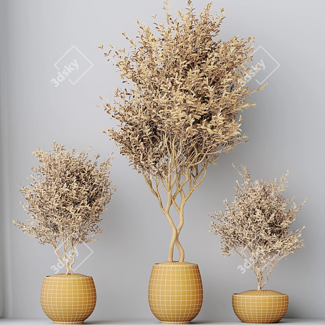 Artisanal Olive Tree Set 3D model image 5