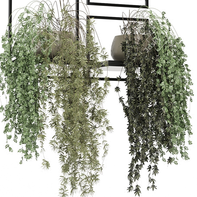 Indoor Hanging Plants Metal Shelf 3D model image 5