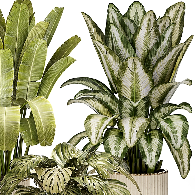 Detailed Indoor Plant 3D Model 3D model image 2