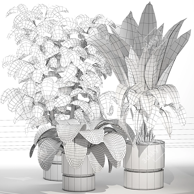 Detailed Indoor Plant 3D Model 3D model image 6