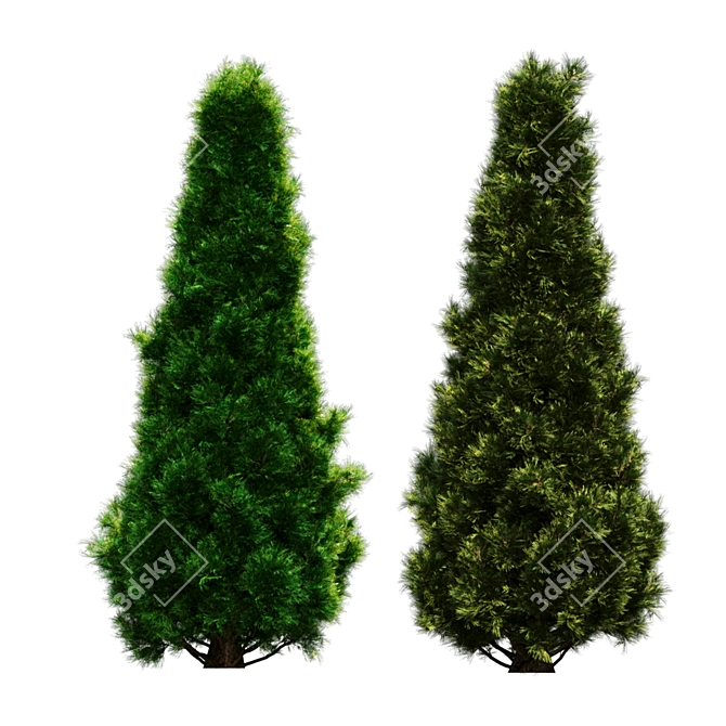 Lush Pine Tree Render Poly 3D model image 1