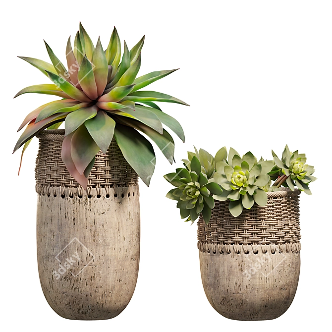 Dual Succulent Planter Scene Kit 3D model image 1