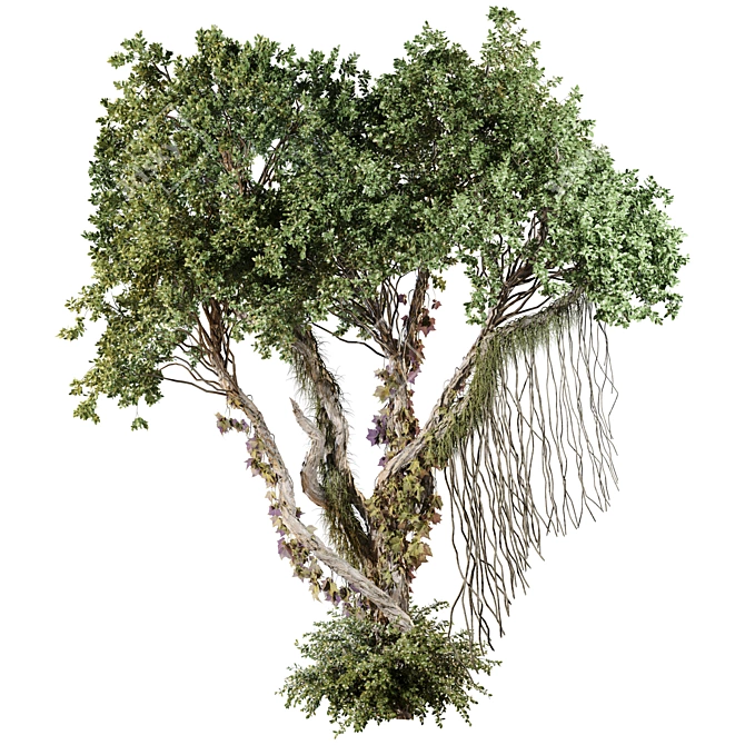 Jungle Tree & Ivy Plants Kit 3D model image 1