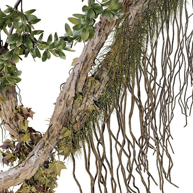 Jungle Tree & Ivy Plants Kit 3D model image 2