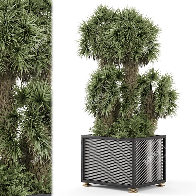 Palm Tree Plant Metal Pot 3D model image 1