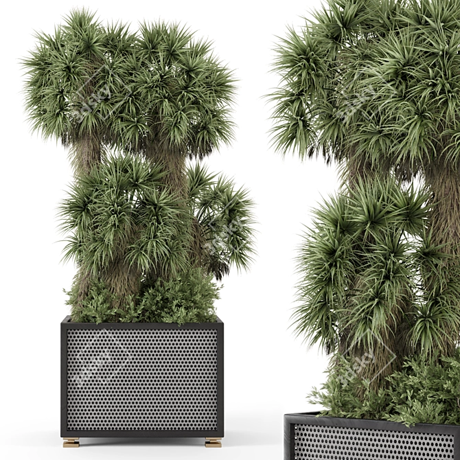 Palm Tree Plant Metal Pot 3D model image 2