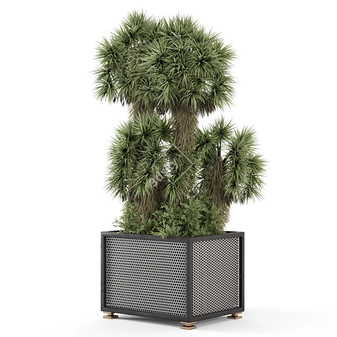 Palm Tree Plant Metal Pot 3D model image 5