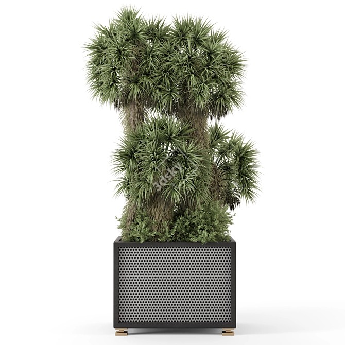 Palm Tree Plant Metal Pot 3D model image 6