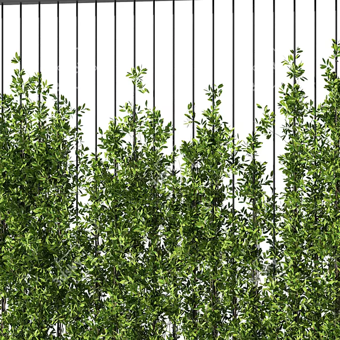 Contemporary Vertical Garden Partition 3D model image 3