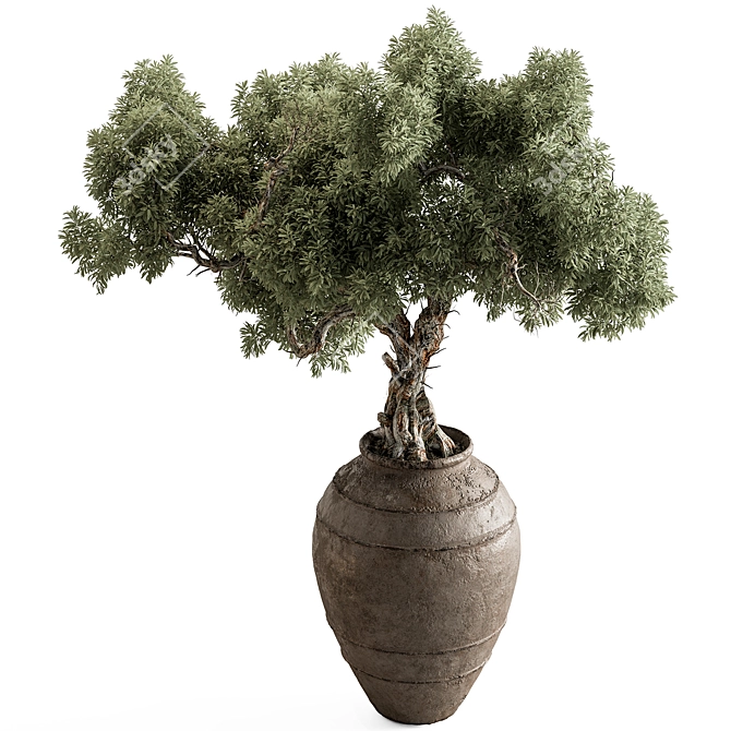 Bonsai Plant 743 - Indoor Beauty 3D model image 2