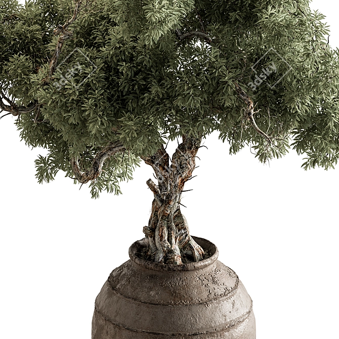 Bonsai Plant 743 - Indoor Beauty 3D model image 3