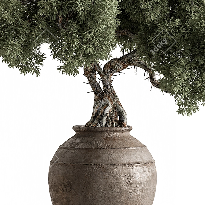 Bonsai Plant 743 - Indoor Beauty 3D model image 4