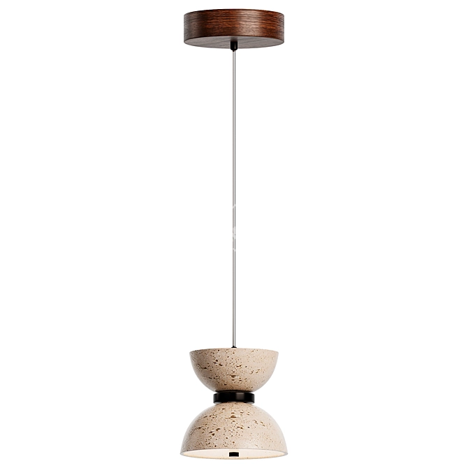 Contemporary Pendant Light Fixture 3D model image 2
