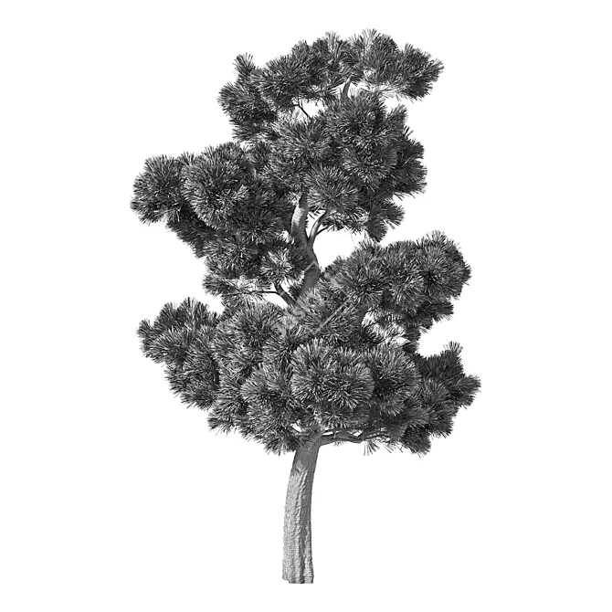 Forest Green Pine Tree No.104 3D model image 4