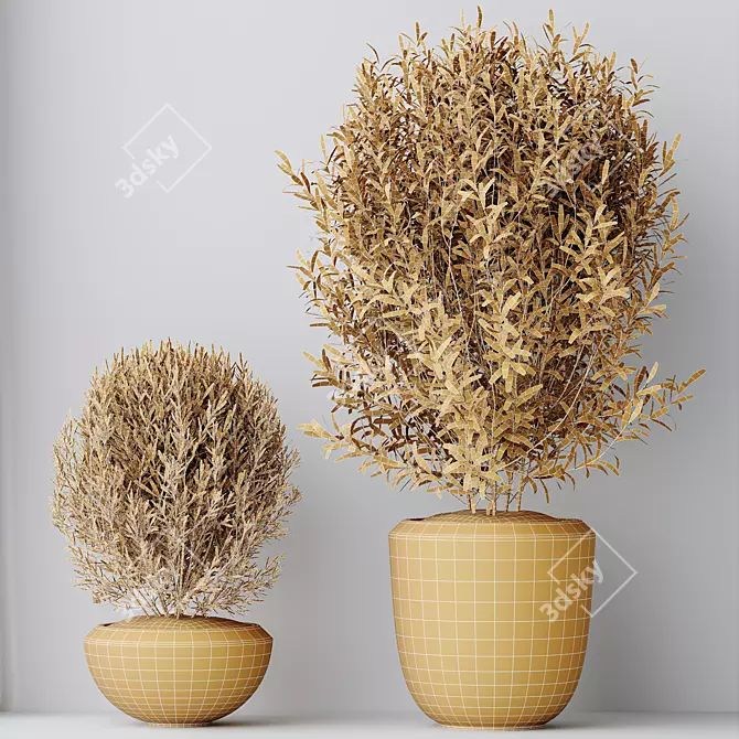 Elegant Olive Tree Set for Yard or Home 3D model image 5