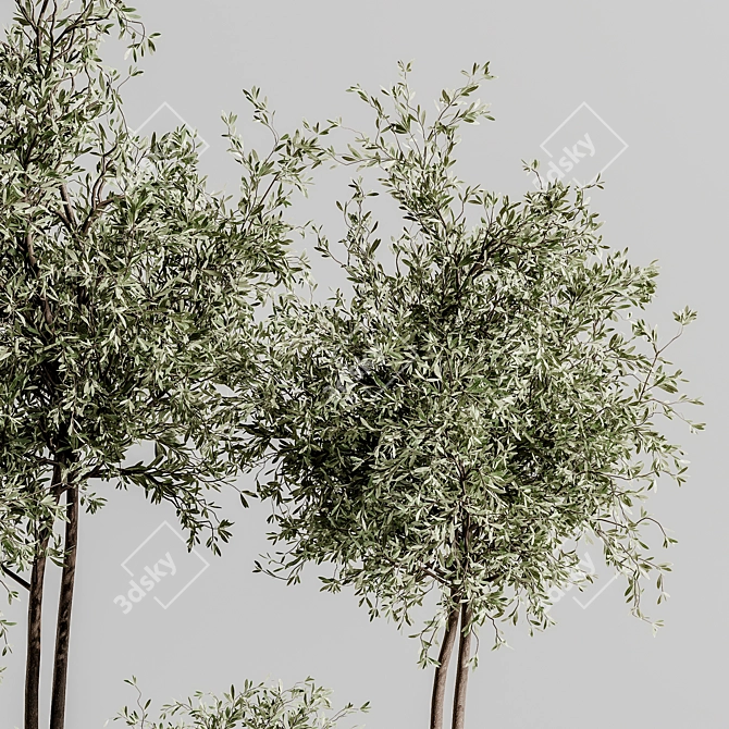 Lush Indoor Plant Set 88 3D model image 6