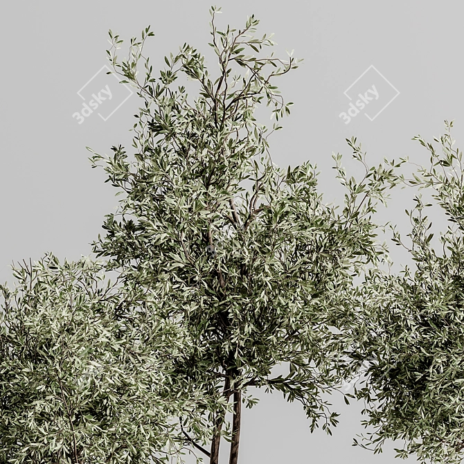 Lush Indoor Plant Set 88 3D model image 7