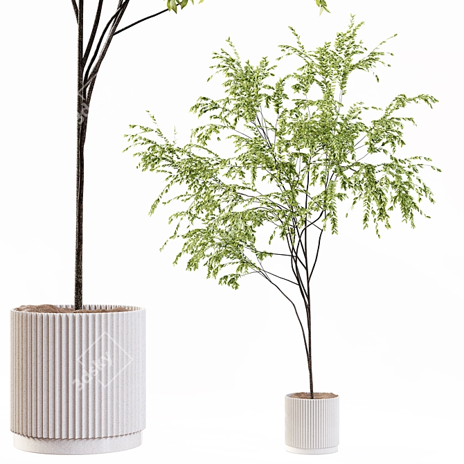 Premium Indoor Plant 3D Model 3D model image 2