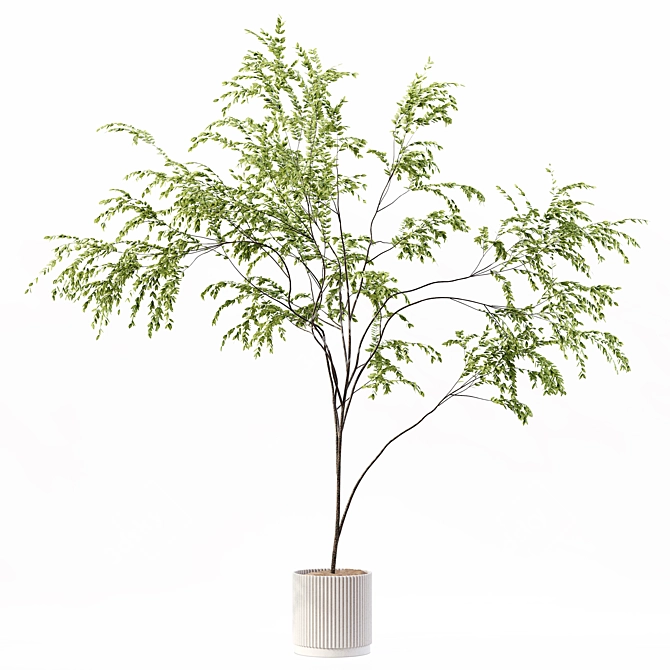 Premium Indoor Plant 3D Model 3D model image 3