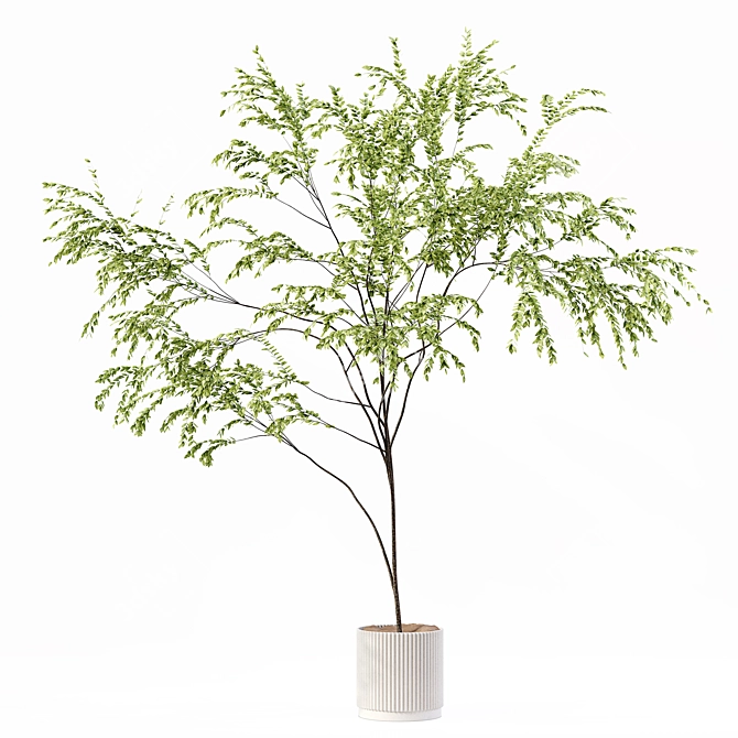 Premium Indoor Plant 3D Model 3D model image 7
