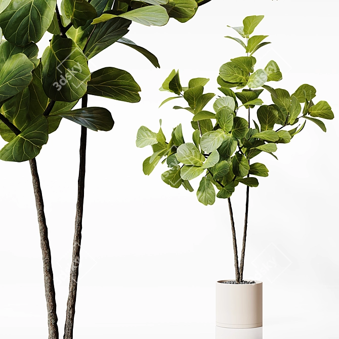 Detailed 3D Indoor Plant Model 3D model image 2