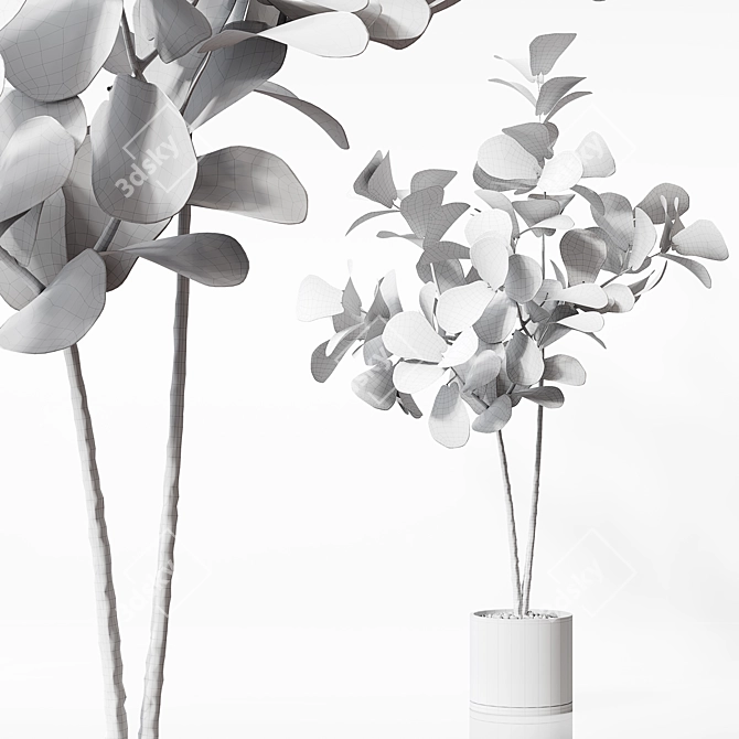 Detailed 3D Indoor Plant Model 3D model image 4