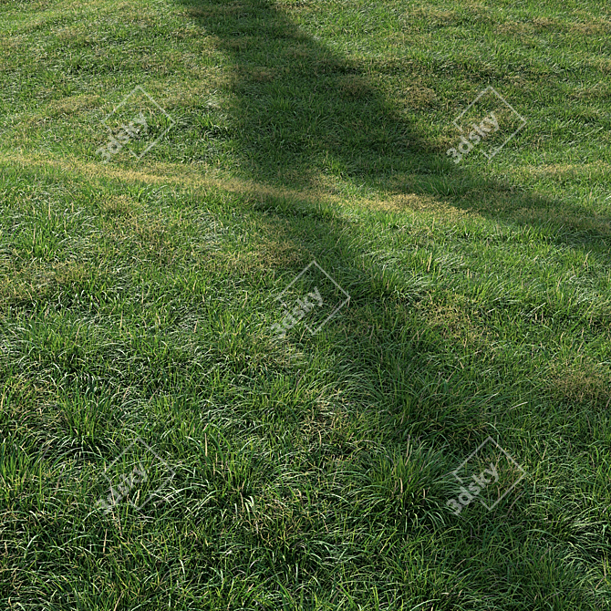 High-Quality Landscaping Tall Grass 3D model image 4