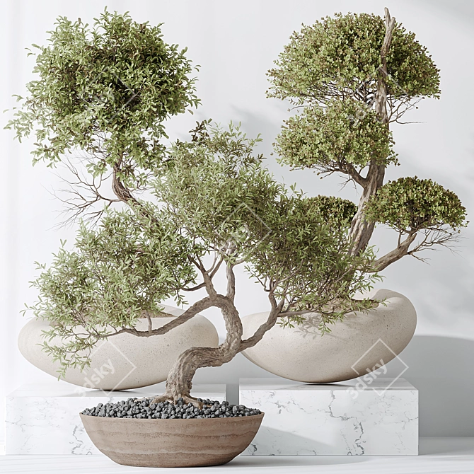 3-in-1 Indoor Plants Set 3D model image 2