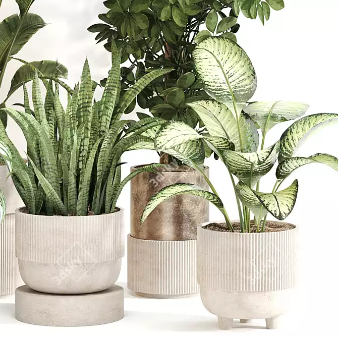Indoor Oasis Plant Set 0115 3D model image 2