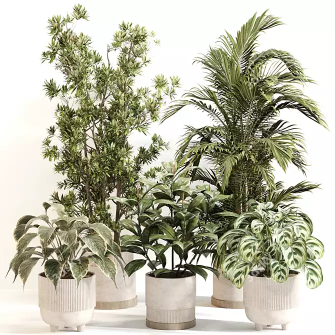 Indoor Oasis Plant Set 0115 3D model image 6
