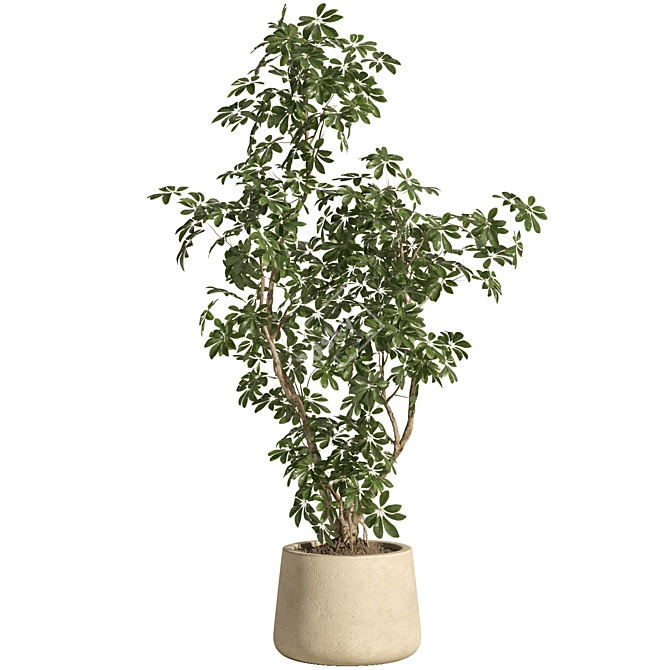 Modern Indoor Plant with Concrete Pot 3D model image 1