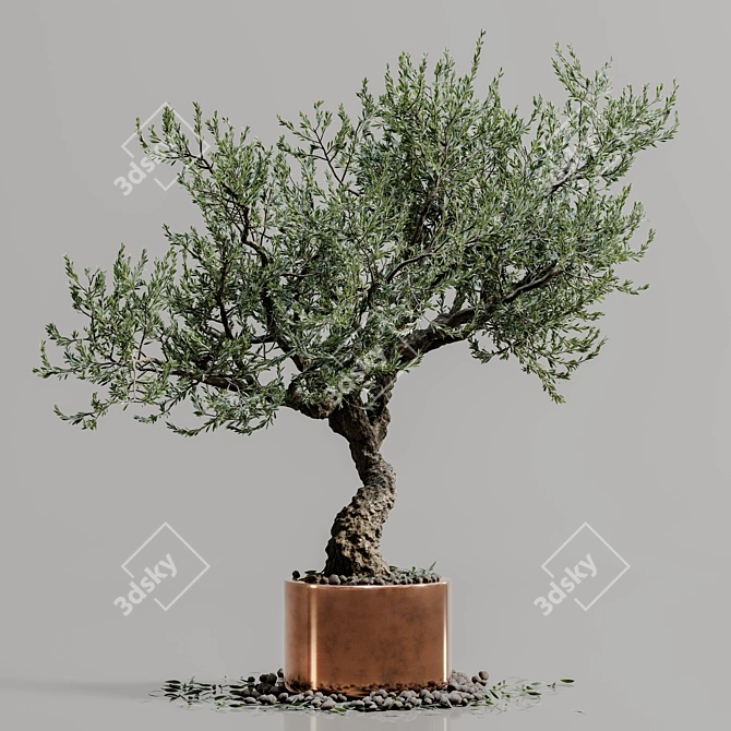 Bonsai Plant Model 3D Render 3D model image 5